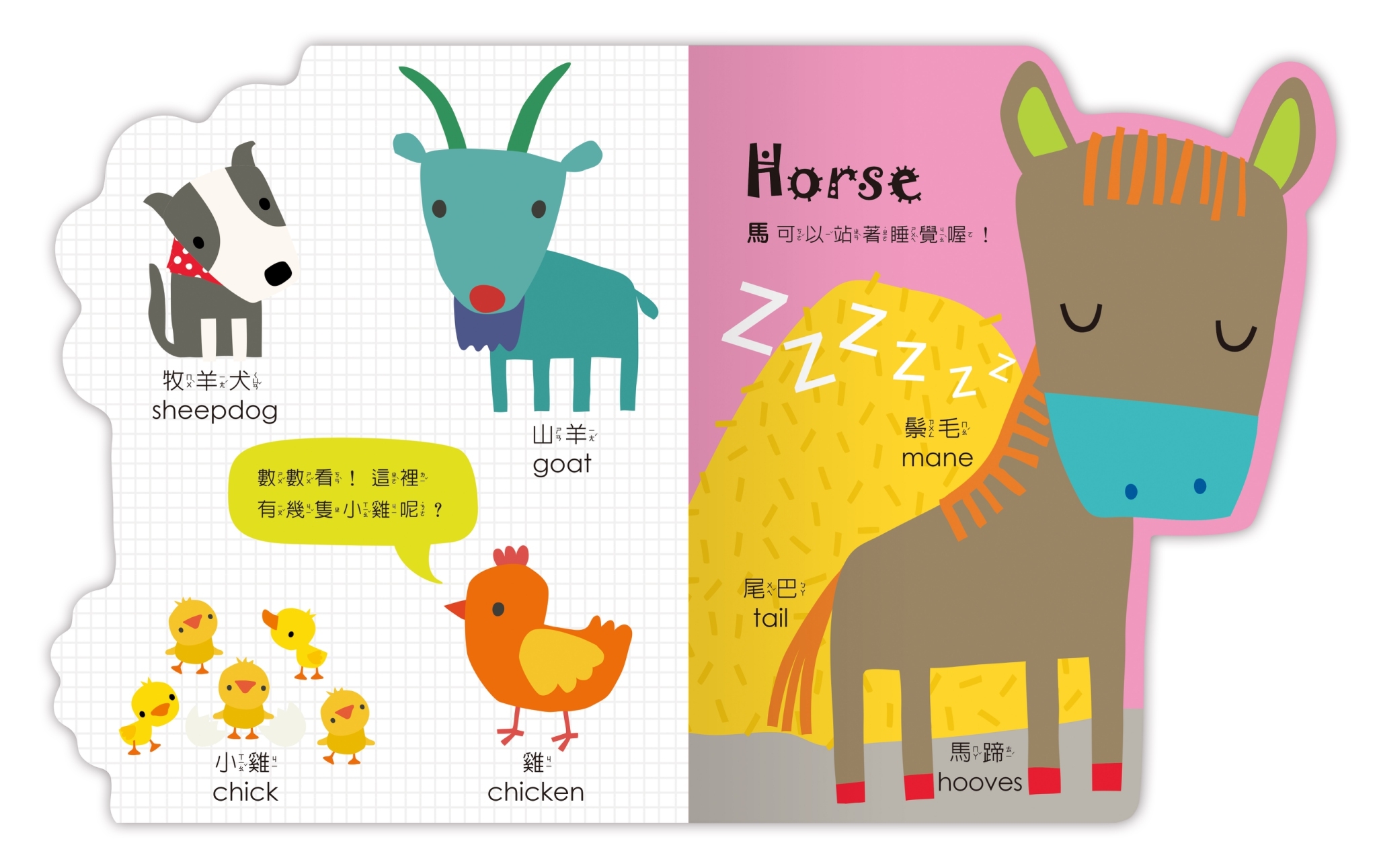 Amazing!變形動物認知書